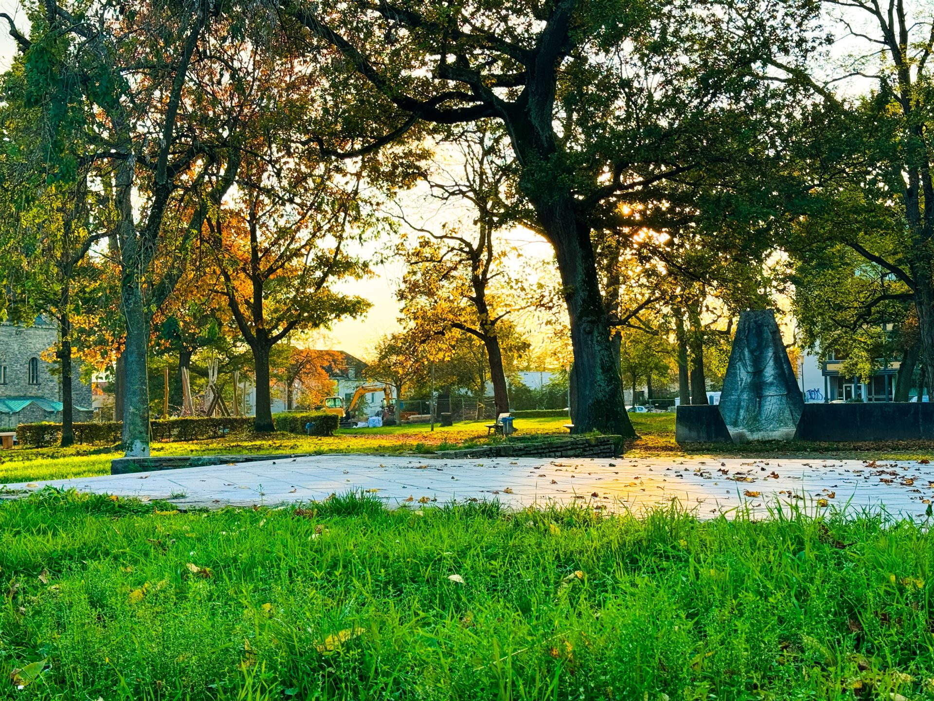 Man blickt in einen Park mit Bäumen im Herbst