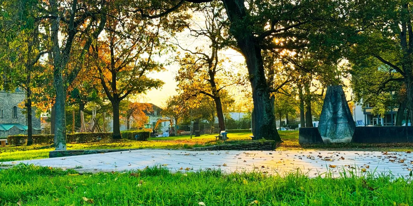 Echelmeyer Park im Herbst 2024 (c) Martina Folz Man blickt in einen Park mit Bäumen im Herbst