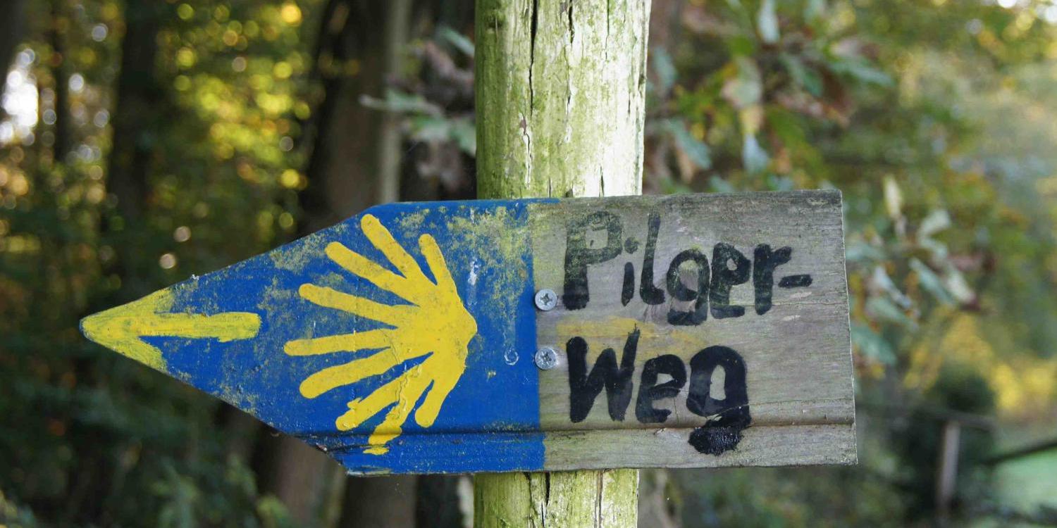 Jacobsweg, Muschel