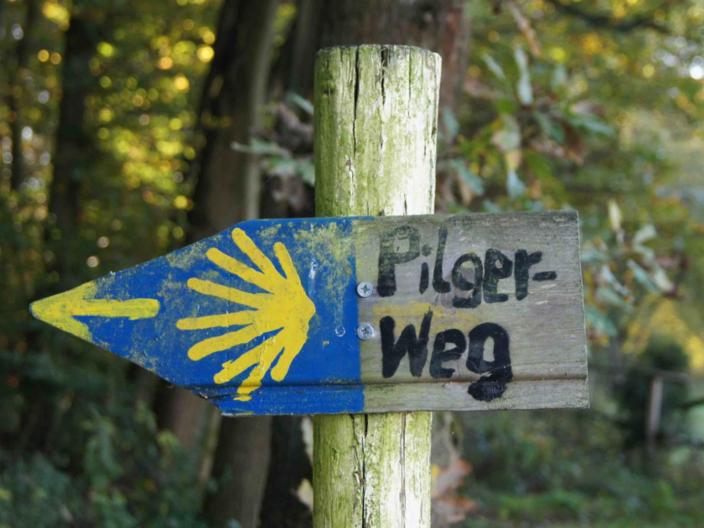 Jacobsweg, Muschel