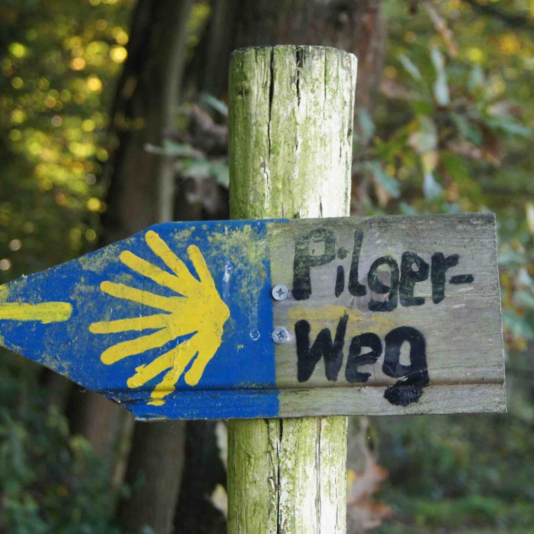 Jacobsweg, Muschel