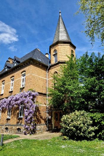 Blick schräg auf das Pfarrhaus Moselweiß mit lila blühender Wisteria