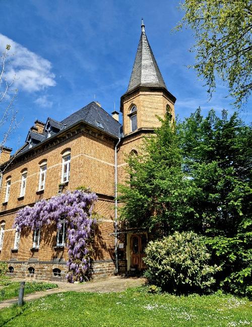 Blick schräg auf das Pfarrhaus Moselweiß mit lila blühender Wisteria