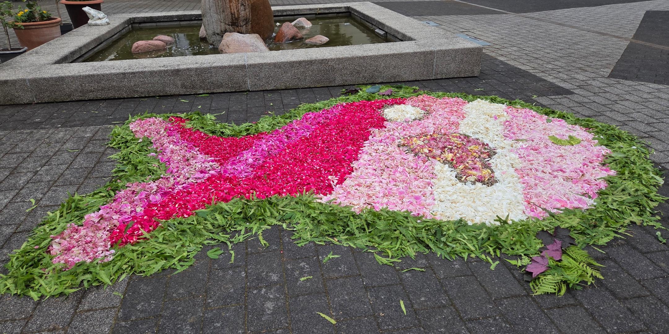 Ein Fisch als Blumenteppich. Kontur grün, Kopf und Körper in den Farben rosa und weiß übergehend zum Schwanz pink und rosa (c) Marione Bauer/Pfarrei Koblenz St. Aposteln Ein Fisch als Blumenteppich. Kontur grün, Kopf und Körper in den Farben rosa und weiß übergehend zum Schwanz pink und rosa