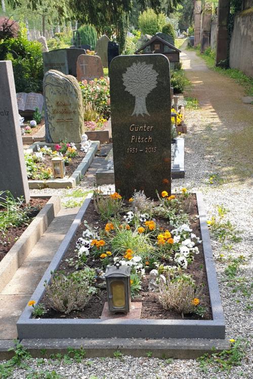 schmales Grab Erdbestattung mit Einfassung und schmalem hohem Quader als Grabstein und Blumenbepflanzung (c) Pfarrei Koblenz St. Aposteln schmales Grab Erdbestattung mit Einfassung und schmalem hohem Quader als Grabstein und Blumenbepflanzung