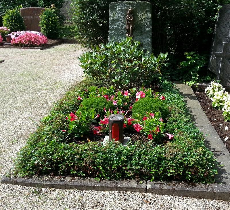 normales Grab für Sargbestattung, mit Grabstein, Name und Daten nicht sichtbar, mit Einfassung durch niedrige kleine Hecke und in der Mitte Blumen. Eckgrab, links und vorne ein Weg und rechts ein weiteres Grab (c) Pfarrei Koblenz St. Aposteln normales Grab für Sargbestattung, mit Grabstein, Name und Daten nicht sichtbar, mit Einfassung durch niedrige kleine Hecke und in der Mitte Blumen. Eckgrab, links und vorne ein Weg und rechts ein weiteres Grab