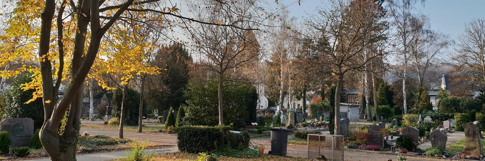Blick über den Friedhof mit Herbststimmung vom Kissensteinfeld, im Vordergrund links ein Baum mit herbstlich gelbem Laub