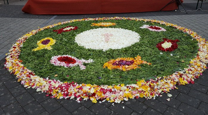Aus unterschiedlichen Blütenblättern wurde ein runder Blumenteppich hergestellt. In der Mitte wurde aus weißen Blüten eine Hostie mit Kreuz gelegt.  Sieben Fische mit unterschiedlichen Blüten und Farben sind in einem grünen Kreis der um die Hostie gelegt wurde eingebettet. Weitere bunte Blütenblätter umringen den grünen Kreis.