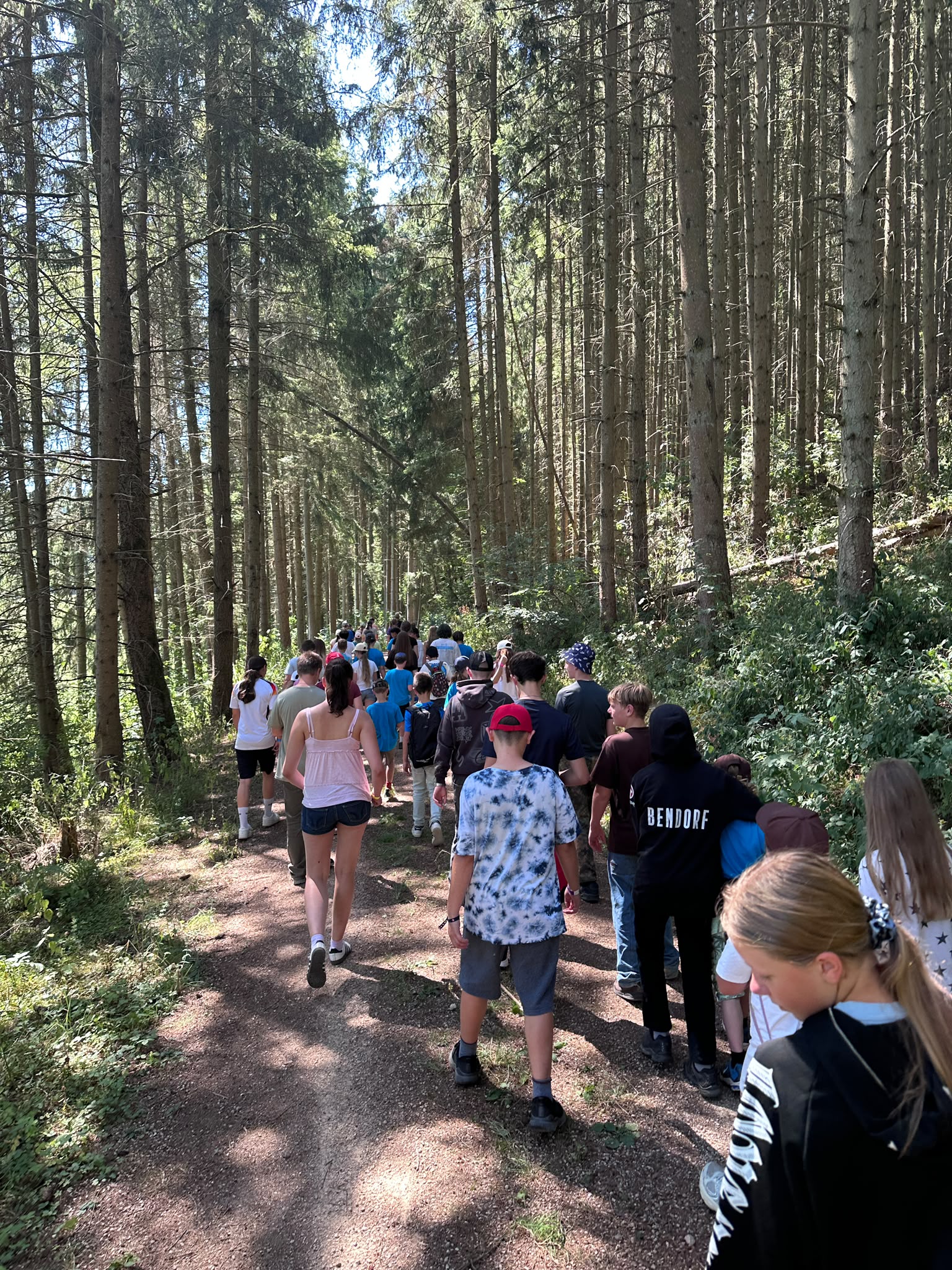 Kinder und Jugendlich wandern durch den Wald (c) Dirk Ganser/Franziska Schwenk Kinder und Jugendlich wandern durch den Wald