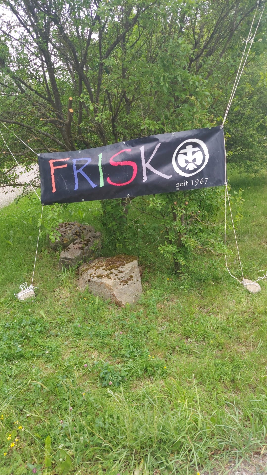 An einem Baum auf einer Wiese hängt ein Banner mit dem Schriftzug Frisko der Kurzname für den Pfadfinderstamm St. Franziskus Koblenz Golgrube