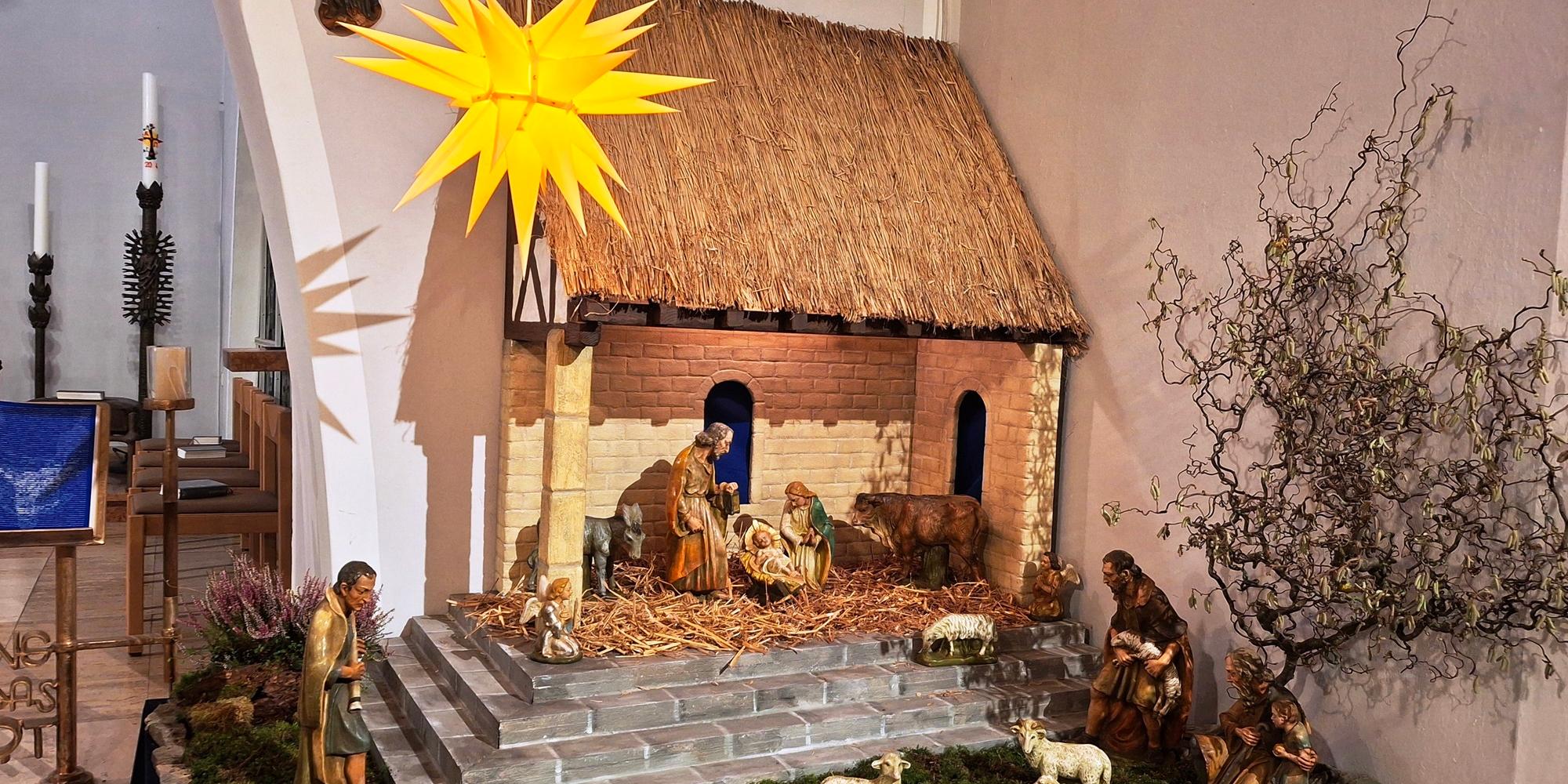 Die Krippe ist rechts neben dem Altarrraum St. Beatus zu sehen, sie besteht aus einem großen offenen Stall mit Strohdach, zu dem Stufen hinaufführen. Unten um die Stufen ist Moos, in dem Hirten mit ihren Schafen zu sehen sind. In dem Stall sind Maria, Josef, das Jesuskind in der Krippe sowie ein Ochse und ein Esel zu sehen. Im Vordergrund hängt ein Stern (c) Liturgiekreis St. Beatus Die Krippe ist rechts neben dem Altarrraum St. Beatus zu sehen, sie besteht aus einem großen offenen Stall mit Strohdach, zu dem Stufen hinaufführen. Unten um die Stufen ist Moos, in dem Hirten mit ihren Schafen zu sehen sind. In dem Stall sind Maria, Josef, das Jesuskind in der Krippe sowie ein Ochse und ein Esel zu sehen. Im Vordergrund hängt ein Stern